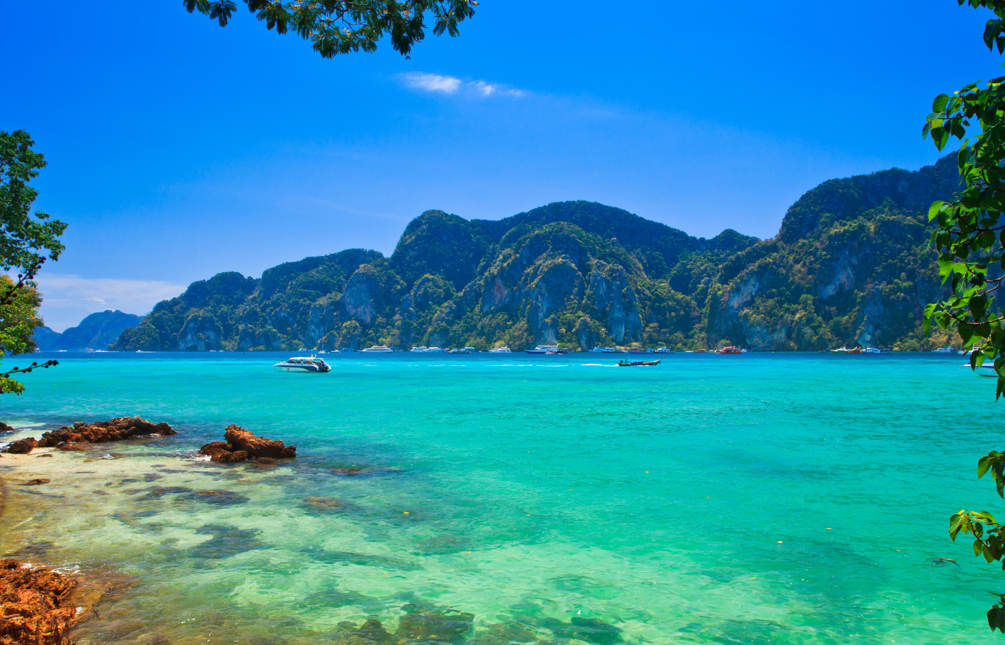 Phi Phi