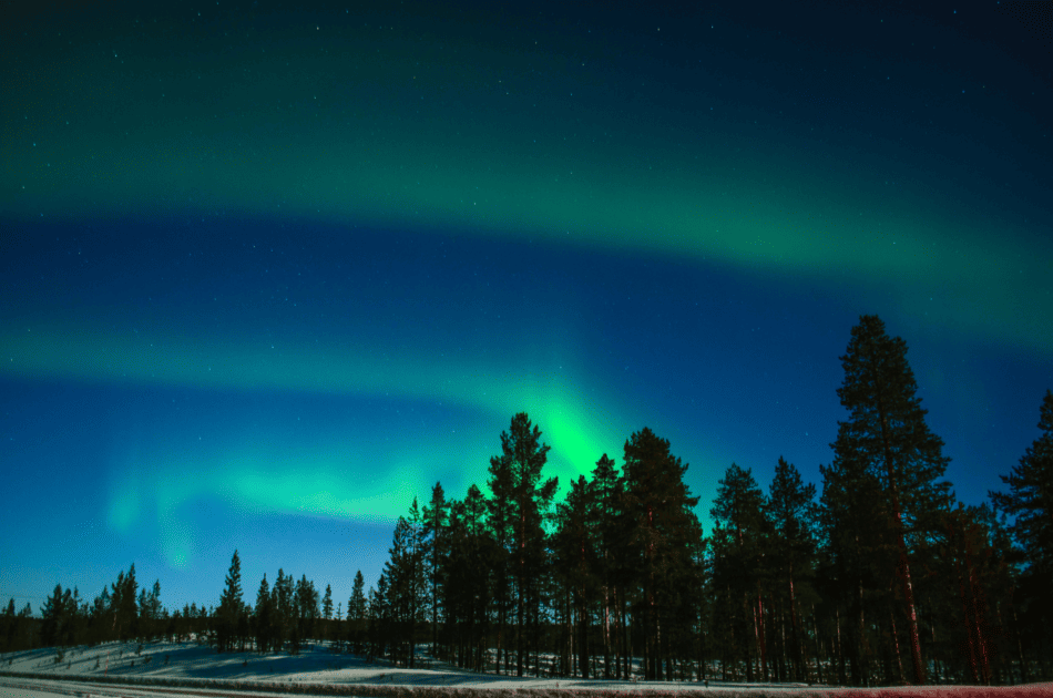Auroras boreales