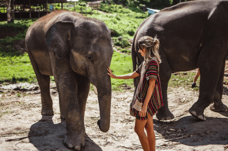 Chiang Mai