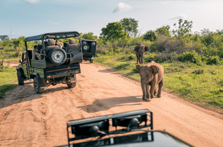 Safari en Kenia