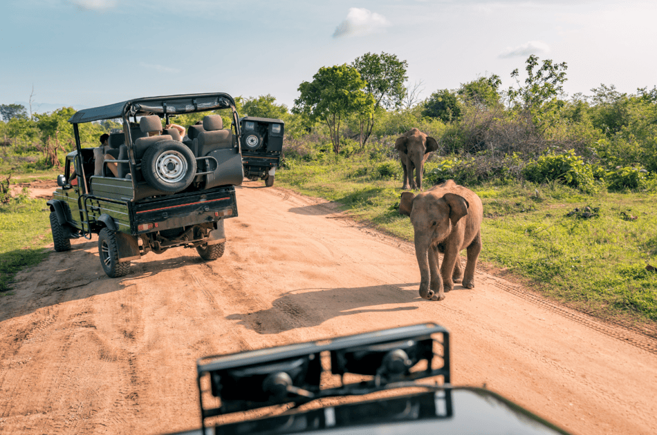 Safari en Kenia