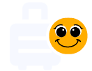 Icon Seguro De Equipaje