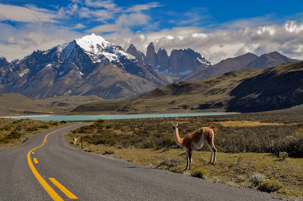 Qué hacer en Argentina 15 días: Guía de viajes 2025