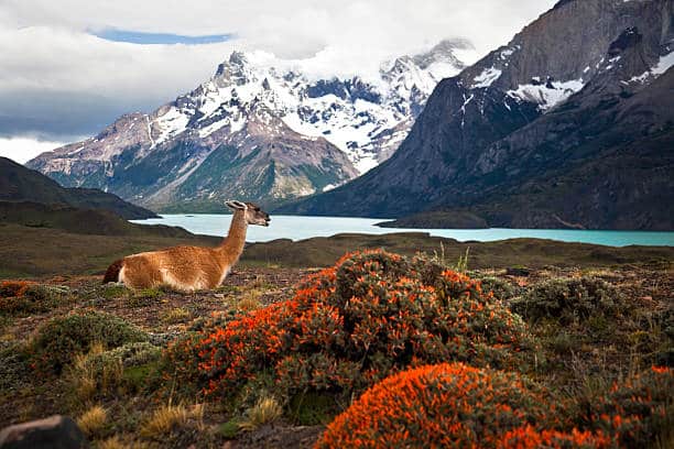 que ver y visitar en argentina 15 días